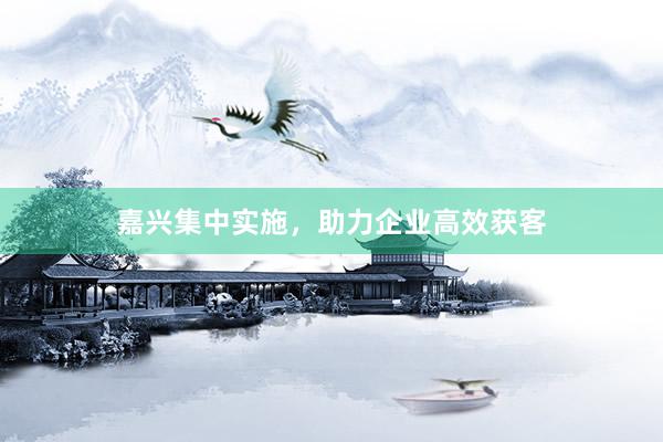 嘉兴集中实施，助力企业高效获客