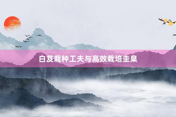 白芨栽种工夫与高效栽培圭臬