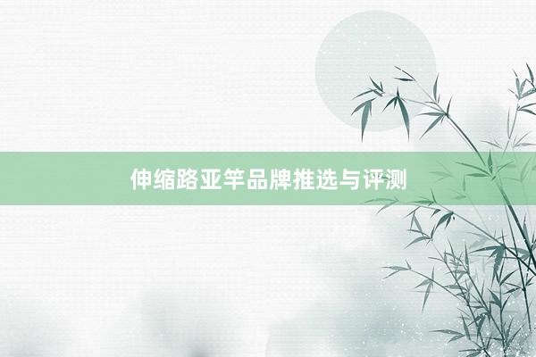 伸缩路亚竿品牌推选与评测