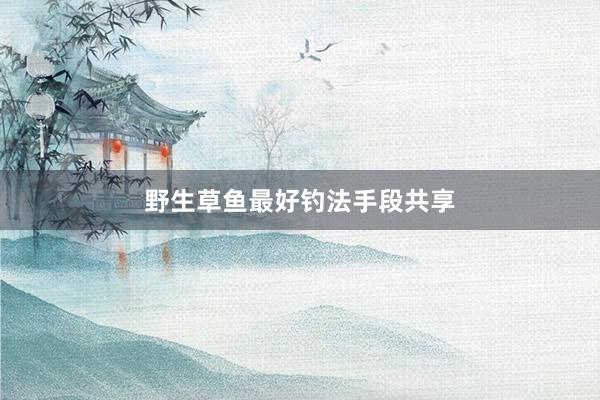 野生草鱼最好钓法手段共享